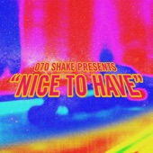 Nice to Have by 070 Shake