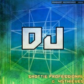 DJ (Hip Hip Version) artwork