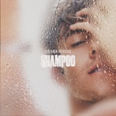 Shampoo artwork