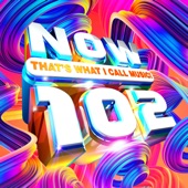 NOW That's What I Call Music! 102 artwork