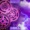 Je Hoort Nu Static - Static-X - The Only | Warner Vault - Nonstop Hits