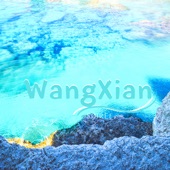 WangXian (Instrumental Version) artwork