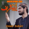 Qaseeda Burda Shareef - Single