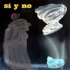 Sí y No