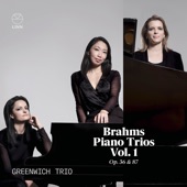 Piano Trio No. 2 in C Major, Op. 87: II. Andante con moto artwork