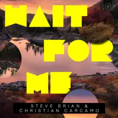 Wait for Me - Single by Steve Brian & Christian Carcamo album reviews, ratings, credits
