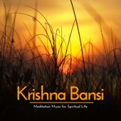 Krishna Bansi: Meditation Music for Spiritual Life artwork