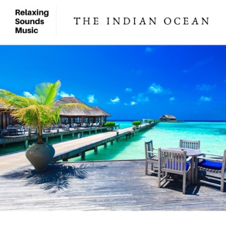 The Indian Ocean