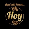 Pelusa & La Banda Caramba - Ayer la ví