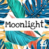 Moonlight artwork