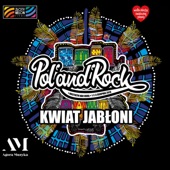 Kwiat Jabłoni Live Pol'and'Rock Festiwal 2019 (Live) artwork