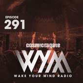 Wake Your Mind Radio 291 artwork