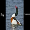 DJ Ducky - Ryg Forasatan (feat. Emma & Adam)