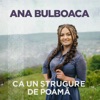 Ça un strugure de poama - Single