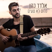 כלום לא טעים artwork