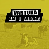 Am I wrong (Remix) artwork