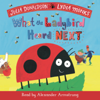 Julia Donaldson - What the Ladybird Heard Next artwork