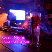 Secret Night (feat. SOUTH-SDE) artwork