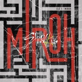 Clé 1 : MIROH artwork