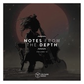 Notes from the Depth, Vol. 12 artwork