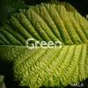 Green - EP