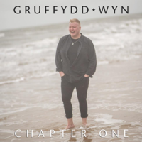 Gruffydd Wyn - Chapter One artwork