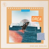 Orca (Extended Mix) artwork