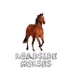 Roadside Horses - Single album lyrics, reviews, download