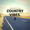 Country Vibes 2 album lyrics, reviews, download
