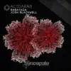 Stream & download Acidarab - Single