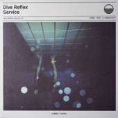 Dive Reflex Service 01 artwork