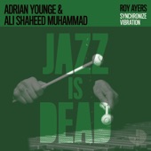 Adrian Younge, Ali Shaheed Muhammad, Roy Ayers,Adrian Younge,Ali Shaheed Muhammad,Roy Ayers - Synchronize Vibration