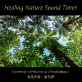 Relaxing Rainforest Sounds and bird songs in Amami Kinsakubaru(nature sound) -Healing Nature Sound Timer- artwork