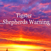 Tigster - Shepherds Warning - EP artwork