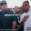 What's Yo Name (feat. $tupid Young & YungMain) - Single