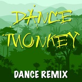 Dance Monkey (Extended Dance Remix) artwork