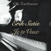 Erik Satie: Je Te Veux artwork