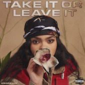 Take It Or Leave It artwork