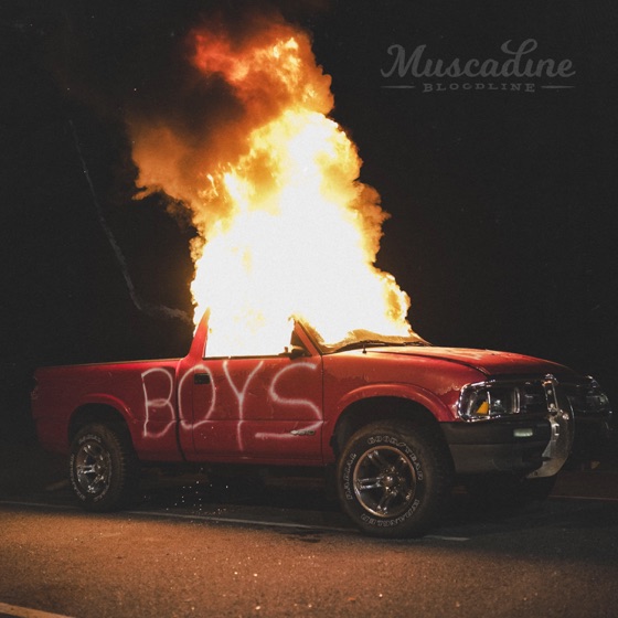 Cover artwork for Too Much