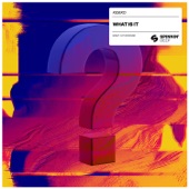 What Is It (Extended Mix) artwork