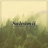 Salcâmii (MD Dj Remix Extended) - Single