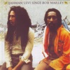 Ijahman Levi - Natural Mystic