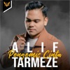 Alif Tarmeze - Pengemis Cinta