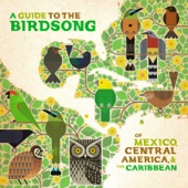 A Guide to the Birdsong of México, Central América & the Caribbean artwork