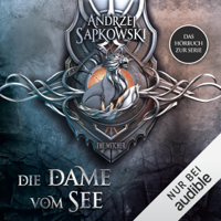 Andrzej Sapkowski - Die Dame vom See: The Witcher 5 artwork