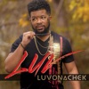 Luv - Single