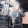 Meet the Woo - Single