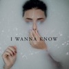 I Wanna Know - Single