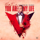 You Are My Life (feat. Mr. Talkbox) artwork