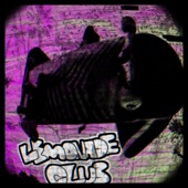 LemonadeClub - Kickflip Bumper